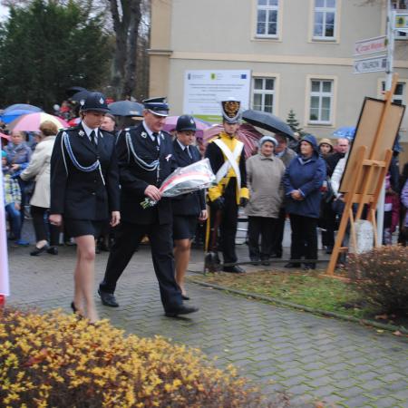 Wyświetl org. rozmiar
