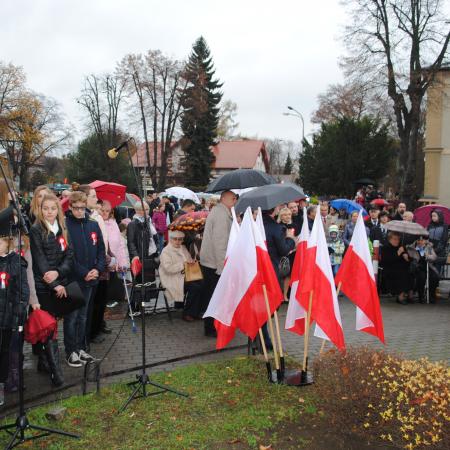 Wyświetl org. rozmiar