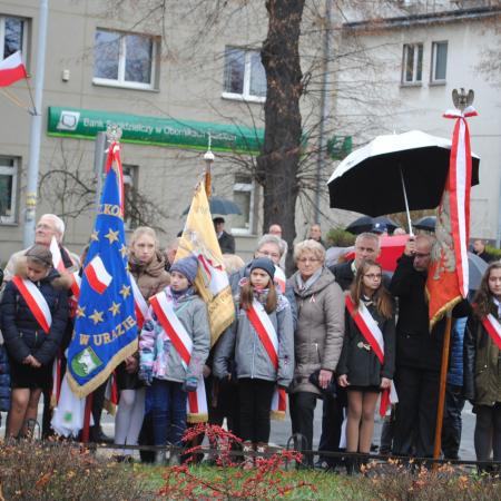 Wyświetl org. rozmiar