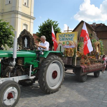 Wyświetl org. rozmiar