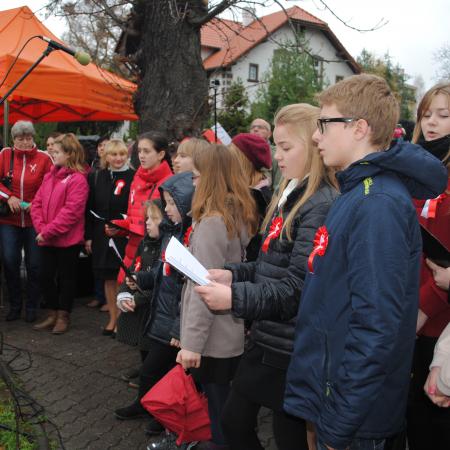 Wyświetl org. rozmiar