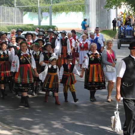 Wyświetl org. rozmiar