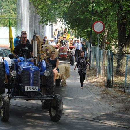 Wyświetl org. rozmiar