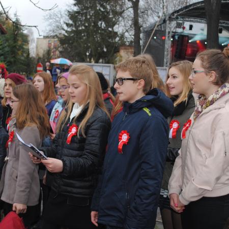 Wyświetl org. rozmiar