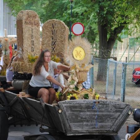 Wyświetl org. rozmiar