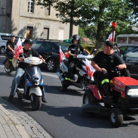 Wyświetl org. rozmiar