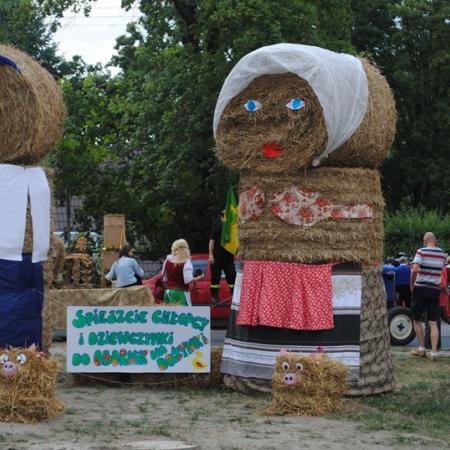 Wyświetl org. rozmiar