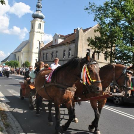 Wyświetl org. rozmiar