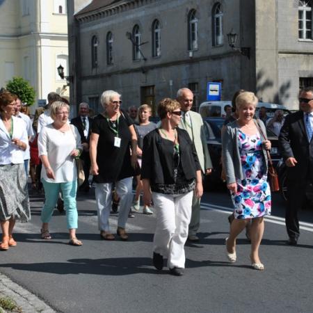 Wyświetl org. rozmiar