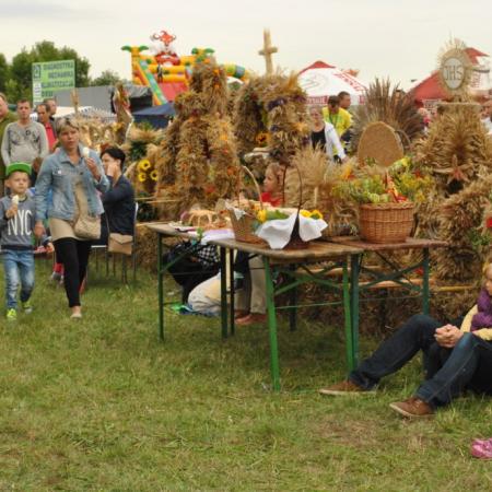 Wyświetl org. rozmiar