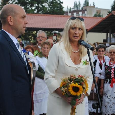 Wyświetl org. rozmiar