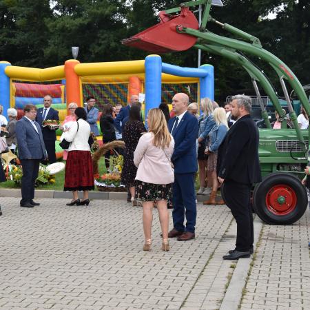 Wyświetl org. rozmiar