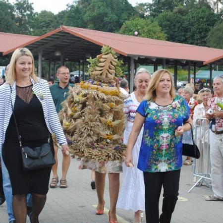 Wyświetl org. rozmiar