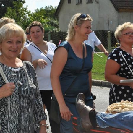 Wyświetl org. rozmiar