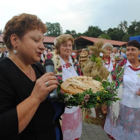 Wyświetl org. rozmiar