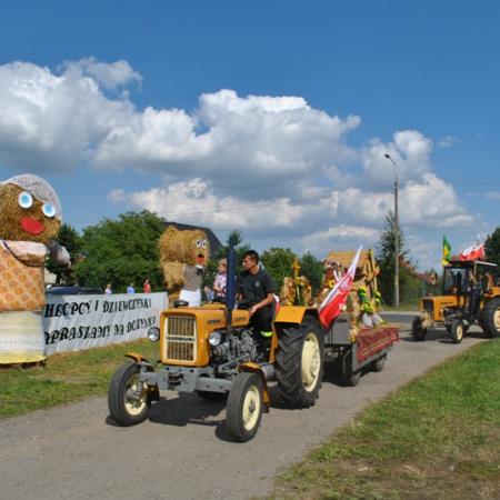Wyświetl org. rozmiar