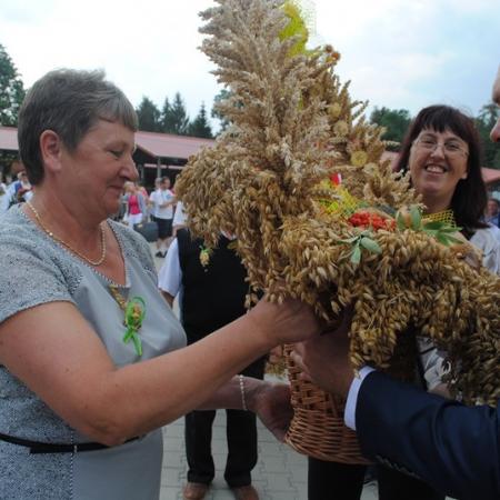 Wyświetl org. rozmiar