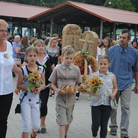 Wyświetl org. rozmiar