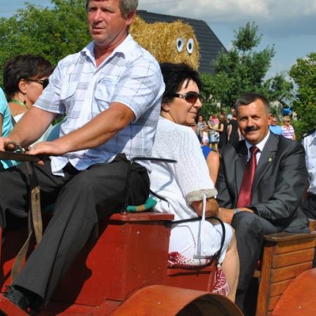 Wyświetl org. rozmiar