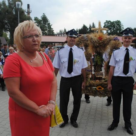 Wyświetl org. rozmiar