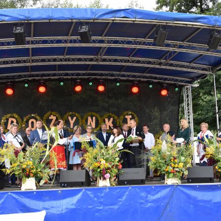 Wyświetl org. rozmiar