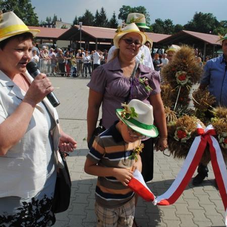 Wyświetl org. rozmiar