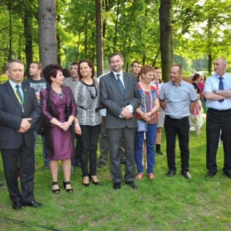 Wyświetl org. rozmiar