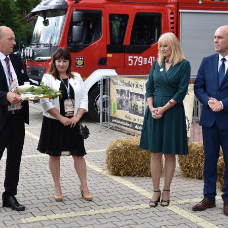 Wyświetl org. rozmiar