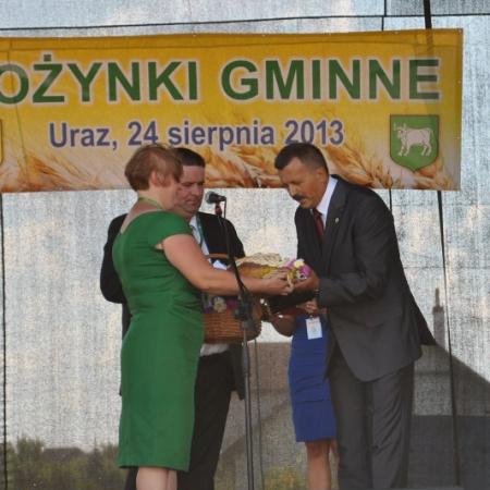 Wyświetl org. rozmiar