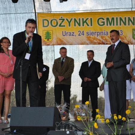 Wyświetl org. rozmiar