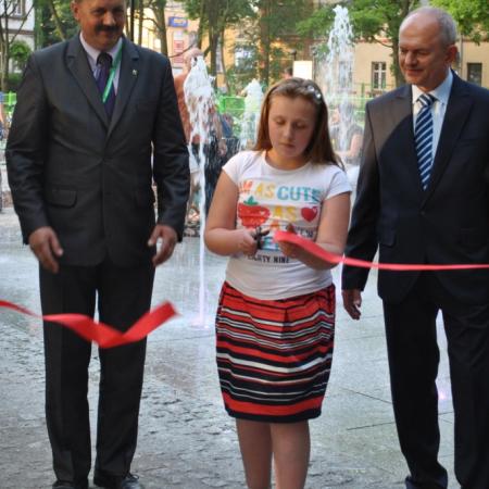 Wyświetl org. rozmiar