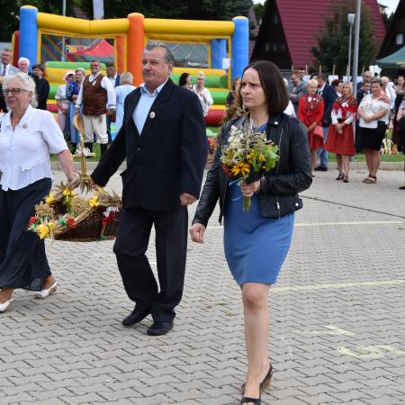 Wyświetl org. rozmiar