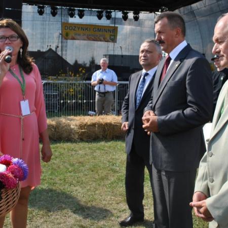 Wyświetl org. rozmiar
