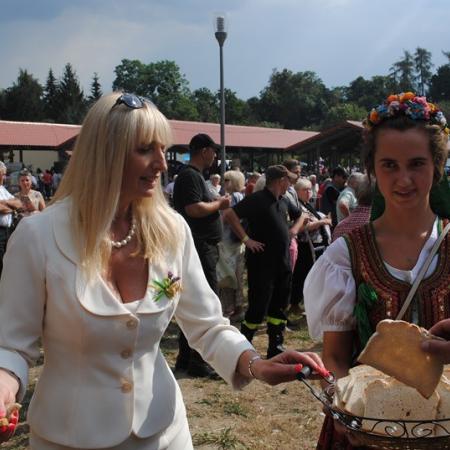 Wyświetl org. rozmiar