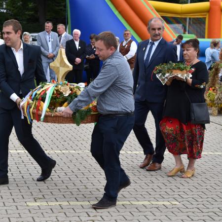 Wyświetl org. rozmiar