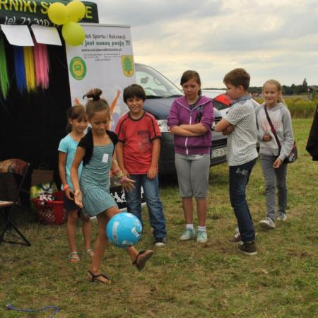 Wyświetl org. rozmiar