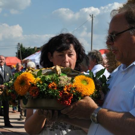 Wyświetl org. rozmiar