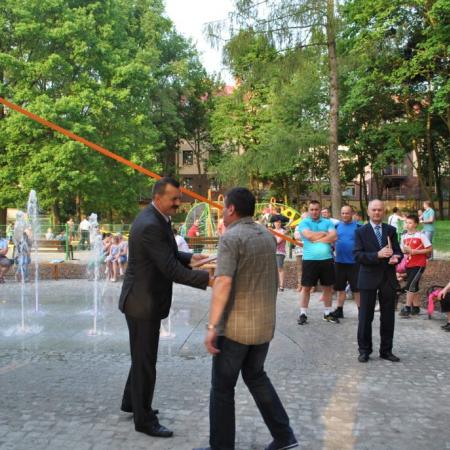 Wyświetl org. rozmiar