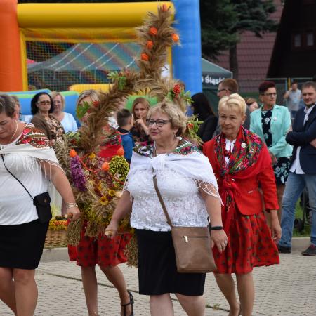 Wyświetl org. rozmiar