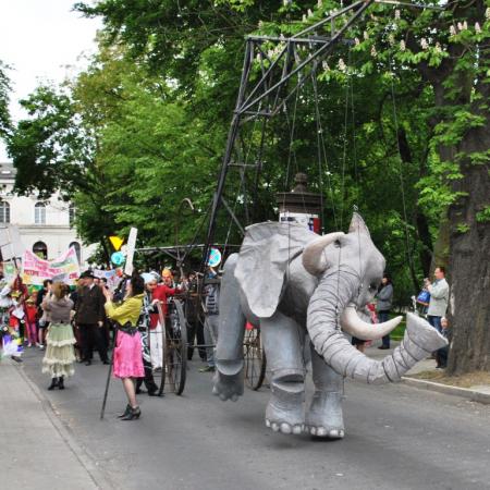 Wyświetl org. rozmiar