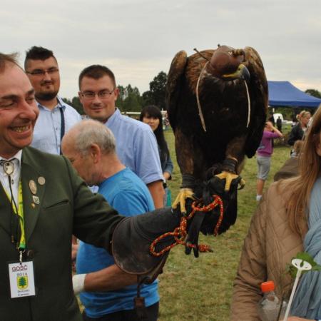 Wyświetl org. rozmiar