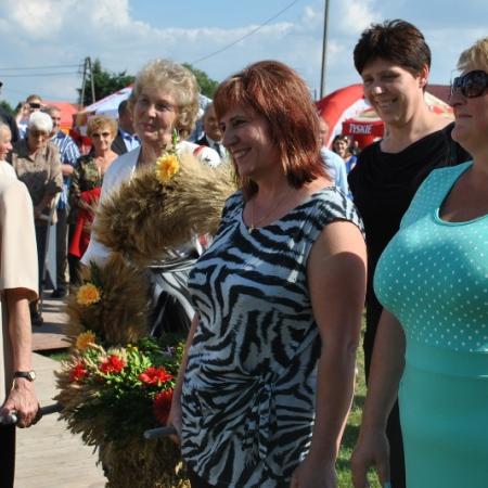Wyświetl org. rozmiar