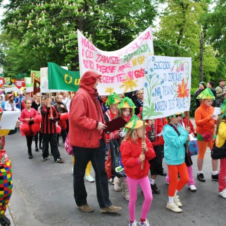 Wyświetl org. rozmiar