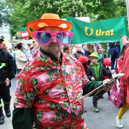 Wyświetl org. rozmiar