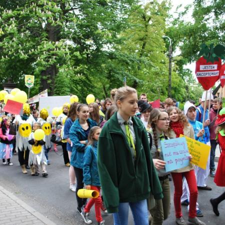 Wyświetl org. rozmiar
