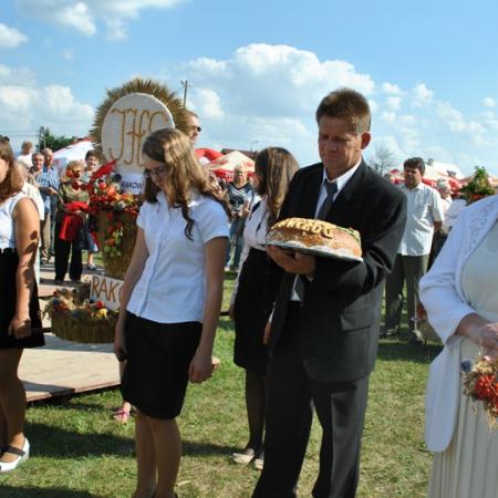 Wyświetl org. rozmiar