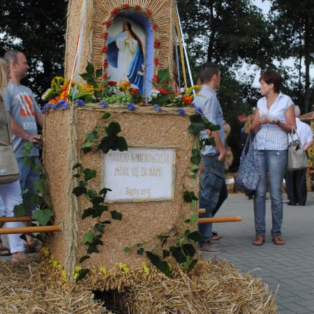 Wyświetl org. rozmiar