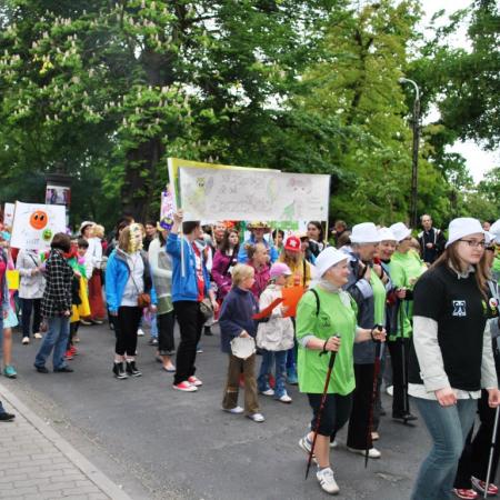Wyświetl org. rozmiar
