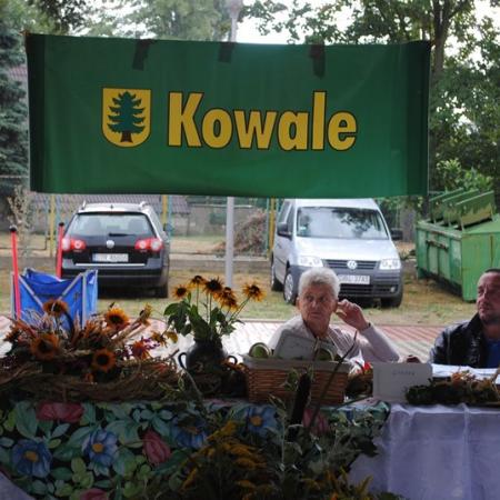 Wyświetl org. rozmiar