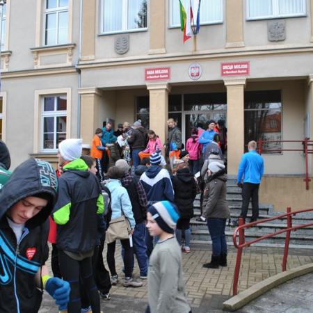 Wyświetl org. rozmiar